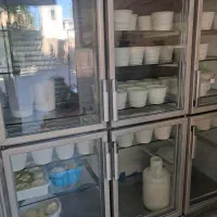 لبنیات سنتی سید