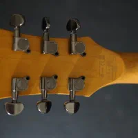 گیتار الکتریک Schecter SGR Solo II|گیتار، بیس، امپلیفایر|تهران, فاطمی|دیوار