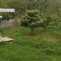 زمین ساحلی ۱۴۰۰ متری سند تک برگ تهاتر با تهران|فروش زمین و ملک کلنگی|چاف و چمخاله, |دیوار
