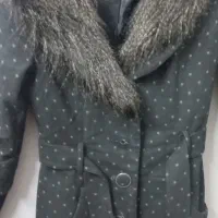 پالتو خزدار