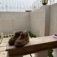 نیم بوت تدی اورجینال خارجی|کفش و لباس بچه|آمل, |دیوار