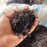 چای سنتی کارگاهی