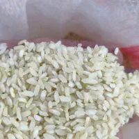 برنج درجه یک کامفیروزی|خوردنی و آشامیدنی|بروجن, |دیوار