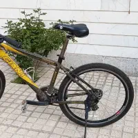 دوچرخه ژیانت سالم ولاستیک ها تعویض شده