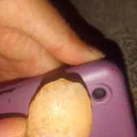 سنگ،هایعقیقآتشینوعقیقانگشتره|بدلیجات|سلیمان, |دیوار