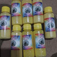 کبوتر دستی وصدرصد تضمینی