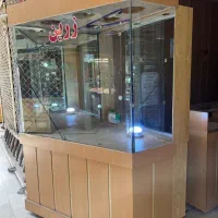 ویترین میز پیشخوان و دیوار کوب مغازه طلافروشی