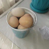 فروش تخم مرغ لاری