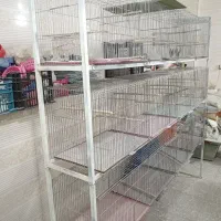 قفس و رگال پرندگان|لوازم جانبی حیوانات|نجف‌آباد, جعفرآباد|دیوار