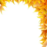 اجاره یک. کلاس در شیفت بعد از ظهر برای تدریس خصوصی