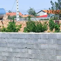 زمین باغی ملکی مجتمع پاس دولت آباد|فروش زمین و ملک کلنگی|مشهد, رضاشهر|دیوار