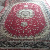 فرش دوازده متری|فرش|کرمانشاه, |دیوار