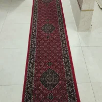 کناره طرح ساده ماهی