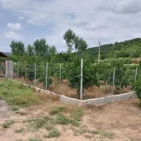 زمین-باغی-افرا-تخت