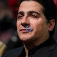 کنسرت همایون شجریان