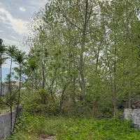 باغ ویلادوبلکس کلاسیک با۶۰مترکوچه اختصاصی|فروش خانه و ویلا|رویان, |دیوار