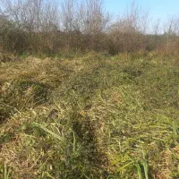 فروش زمین ۱۰۰ متر ده درده