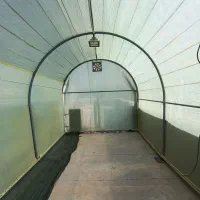 گلخانه خانگی|عمده‌فروشی|اندیشه, اندیشه فاز ۵|دیوار