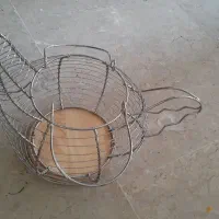 سبد جا تخم مرغی