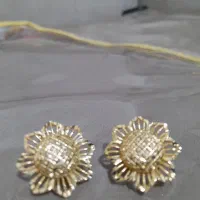 گوشوا ه رنگ ثابت