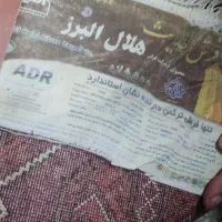 همه اجناس|سایر لوازم برقی|دلند, |دیوار