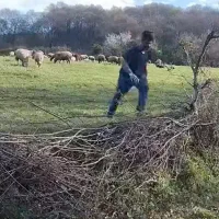 فروش یک قطعه زمین