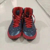 کفش کشتی رودیس