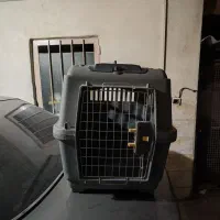 باکس حمل سگ و گربه|لوازم جانبی حیوانات|ری, حمزهآباد|دیوار