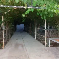 باغچه ویلایی سند دار