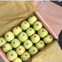 ۲ تن سیب زرد درختی درجه یک سرد خونه ای