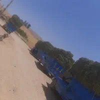 یونجه انباری و تازه چین دوم موجود