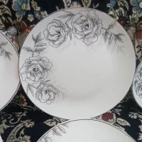 سرویس ۲۴ نفره ارکوپال|ظروف سرو و پذیرایی|تهران, شهرک طالقانی|دیوار