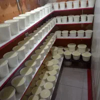 مغازه لبنیاتی سنتی|اجارهٔ مغازه و غرفه|محمدشهر, جعفرآباد|دیوار