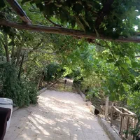 باغچه فروشی