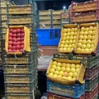 سفارشات میوه مجالس