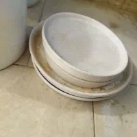 گلدان سرامیکی|گل و گیاه طبیعی|یزد, |دیوار