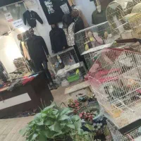 اجاره مغازه در بازاراصفهان سه راه باغ قلندرها|اجارهٔ مغازه و غرفه|اصفهان, نقش جهان|دیوار