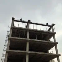 معاوضه آپارتمان با زمین یا منزل کلنگی