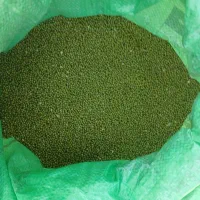 ماشک در حبوبات