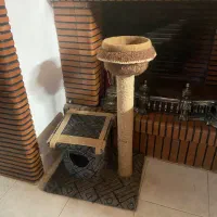 اسکرچر گربه