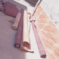 موکت. سالم
