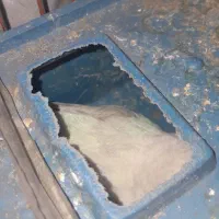 مرغ عشق|خزنده|یاسوج, |دیوار