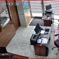 آگهی استخدام خانم جهت کار در بازرگانی نهاده دامی