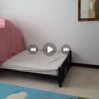 رهن واجاره500م پیش بامزه 12م|اجارهٔ آپارتمان|کیاشهر, |دیوار