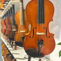 فروش انواع ویولن ایرانی و خارجی