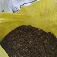 کنجاله زیتون خشک