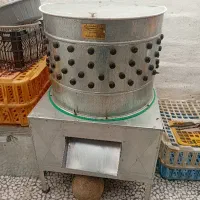 کشتار و پرکردن مرغ اردک غاز و غیره