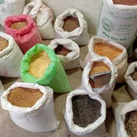 دانه پرنده (عمده)