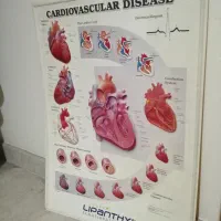 اطلس دیواری قلب، پوستر