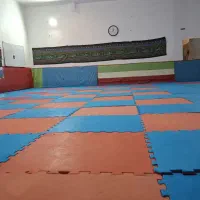 کلاس کاراته دختران
